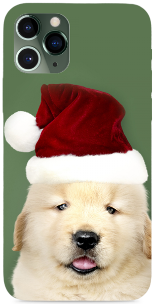 Télapó Sapkás Kutya